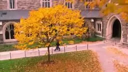 ExperiencePrinceton Princeton University